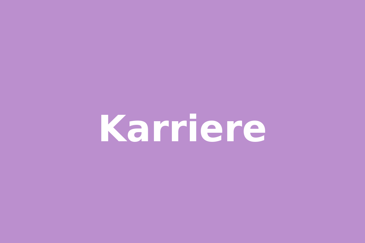 Entwerfen Sie einen modernen und attraktiven Lebenslauf